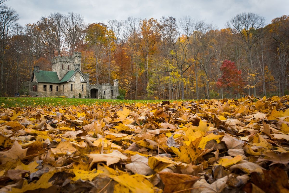 Autumn Hike