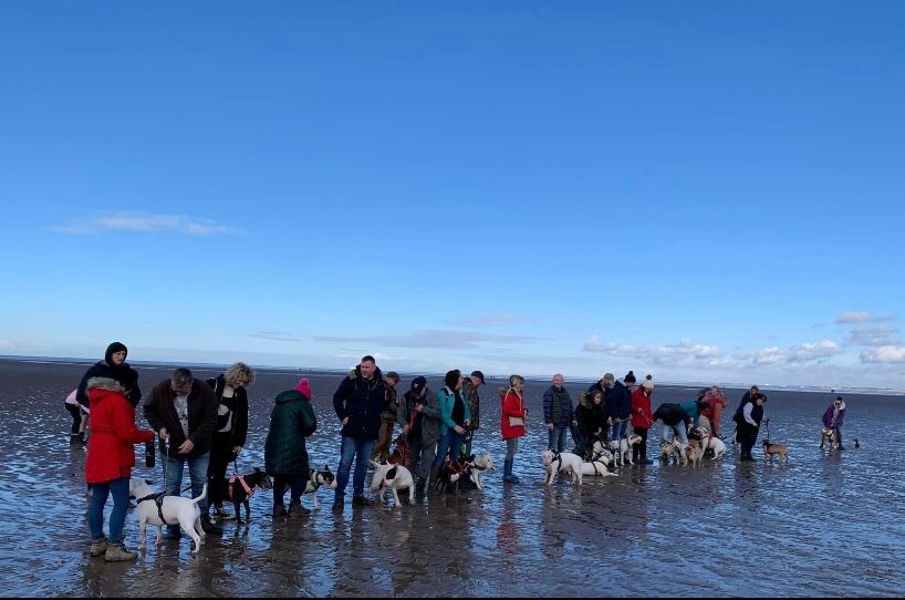 New Brighton Beach Walk