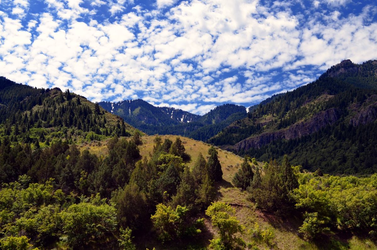 Logan Canyon Ride