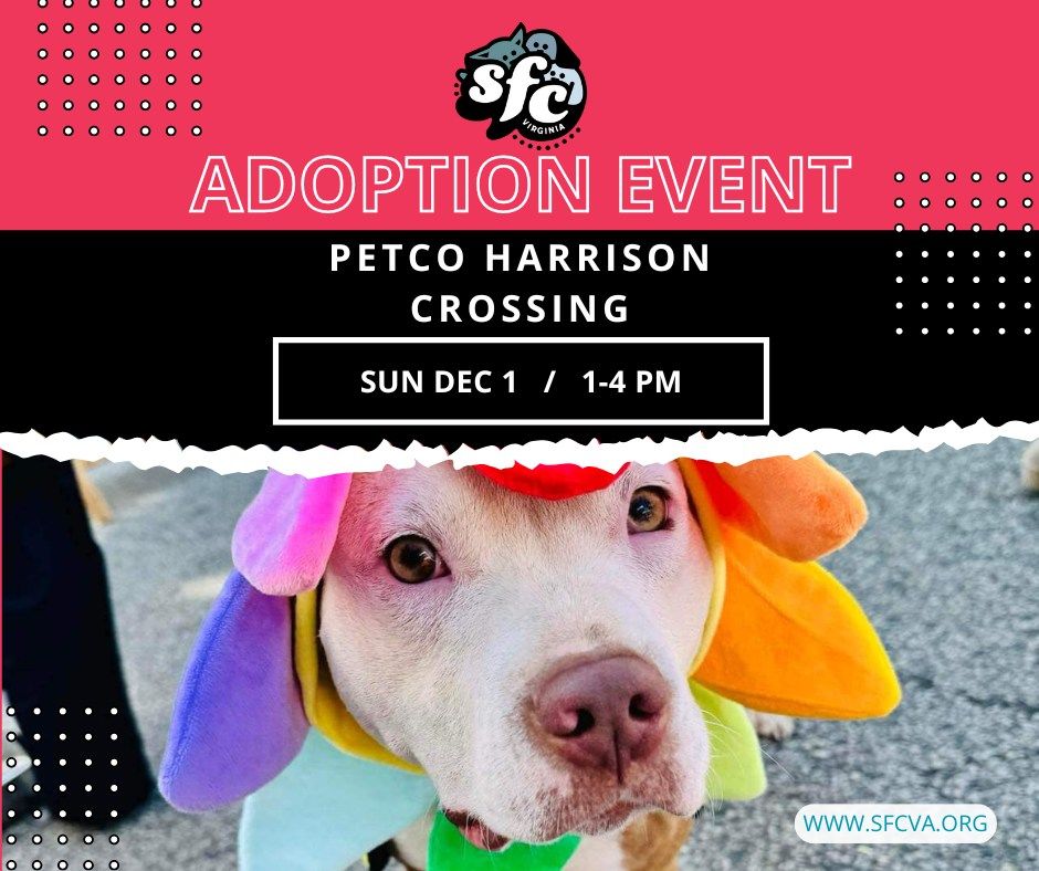 12\/1 Adoption Event at Petco Harrison Crossing