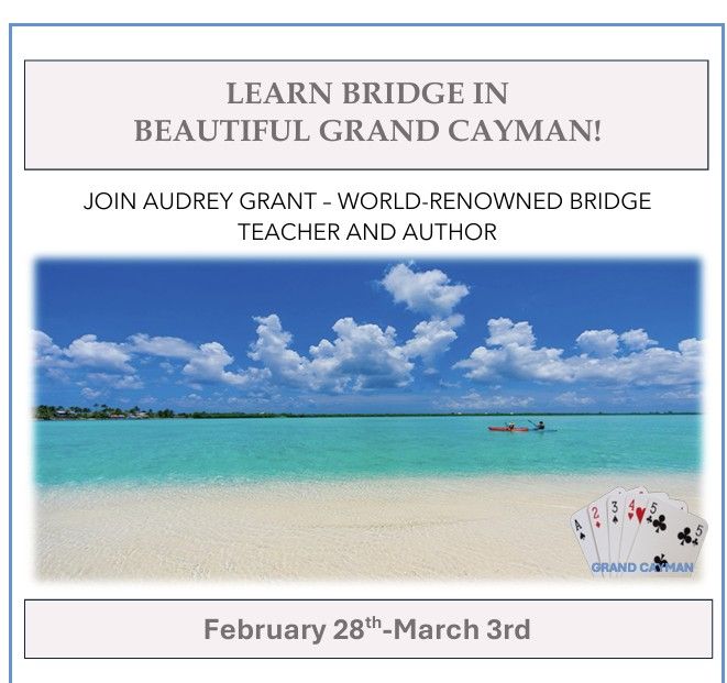 Bridge for Beginners Course - Morning Sessions 10 am to 12 pm Feb 28-March 3