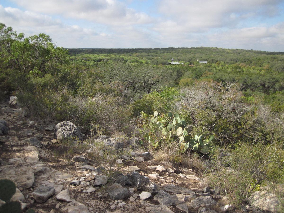 Bluff Spurs Guided Hike