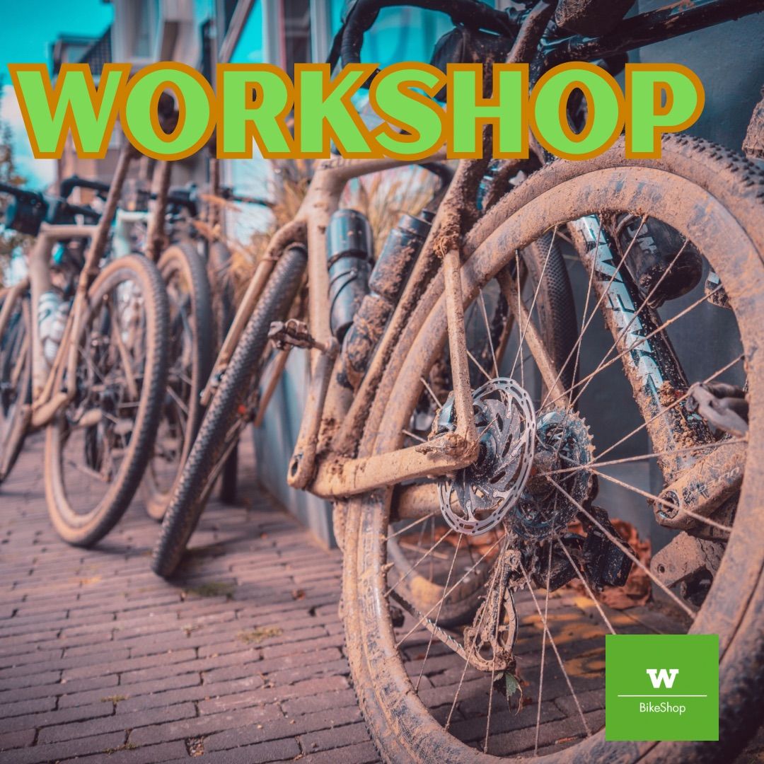 Basis Workshop Sportieve fietser 