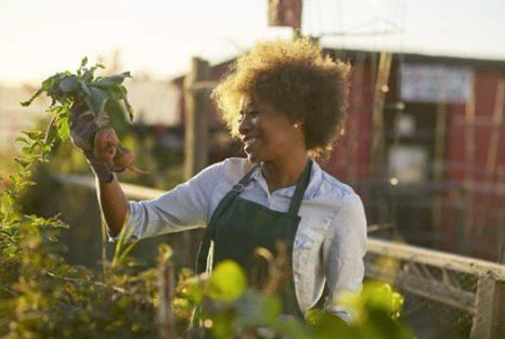 Spring Gardening Workshop