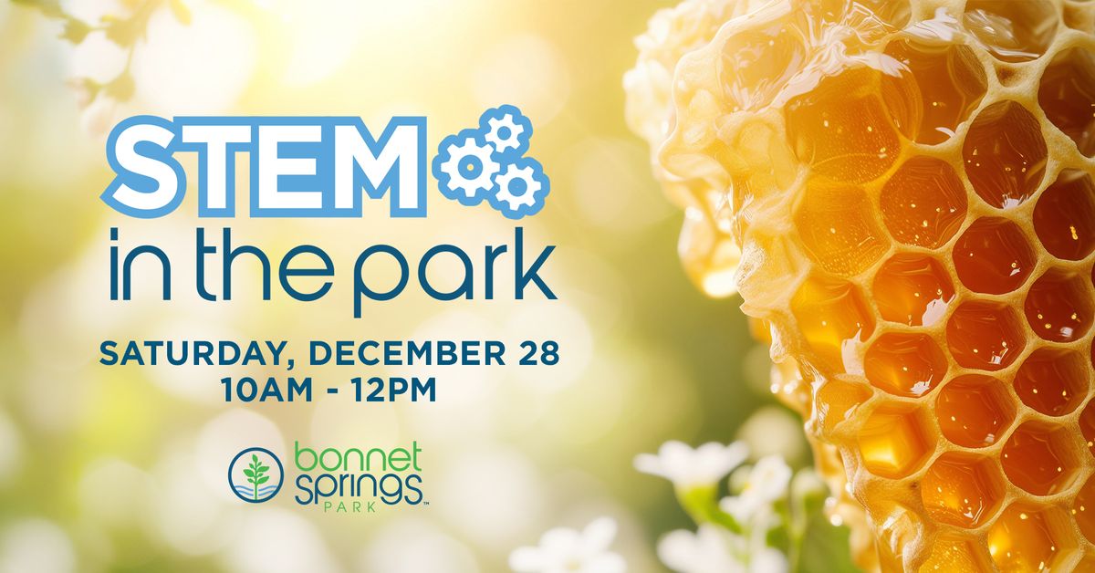 STEM in the Park