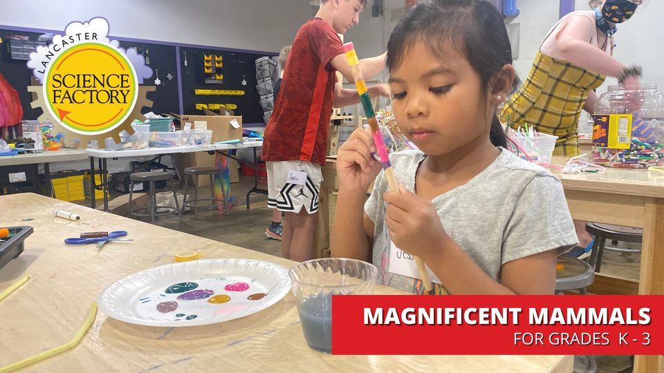 Magnificent Mammals for grades K - 3, The Lancaster Science Factory, 19 ...