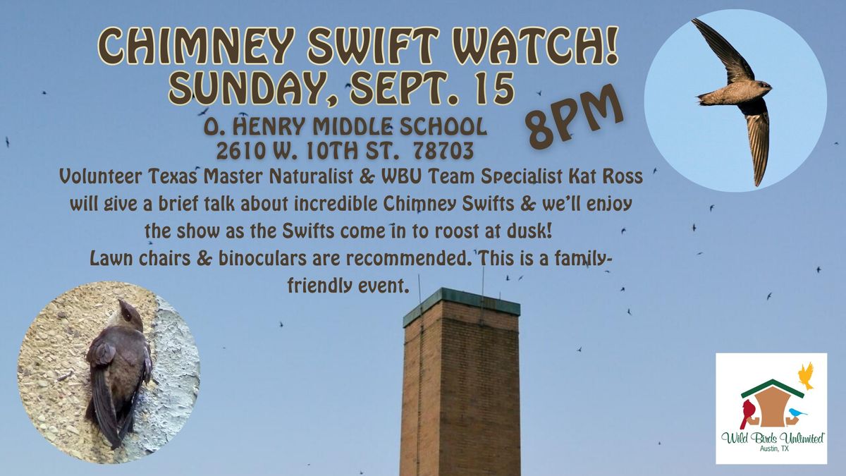 Chimney Swift Watch!