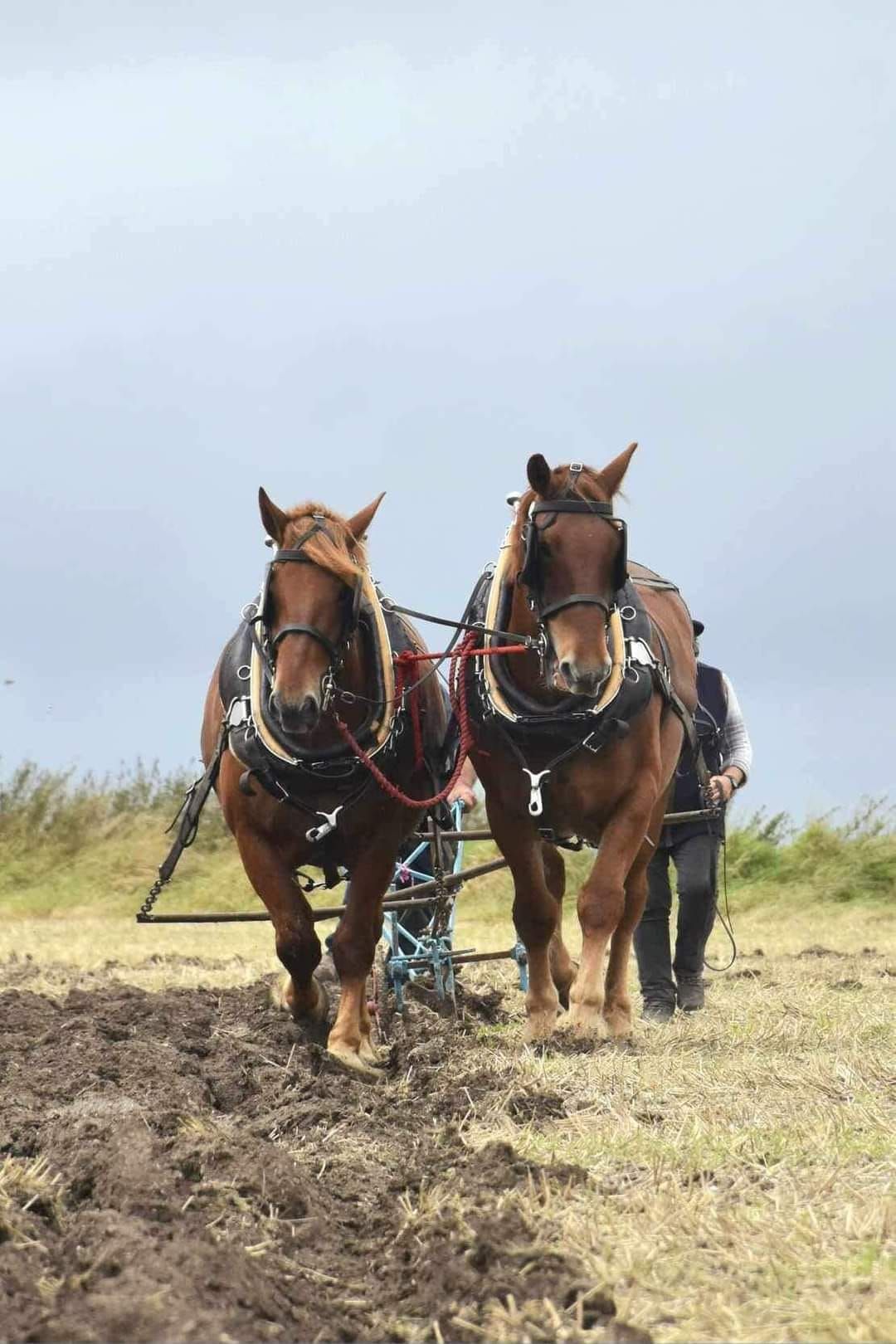 Lambourn Vintage Machinery Society Ploughing Match