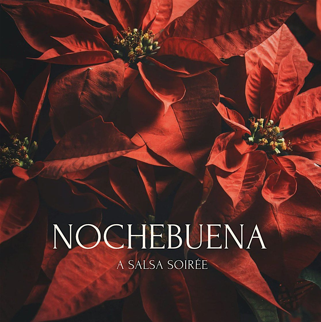 Nochebuena: A Salsa Soir\u00e9e
