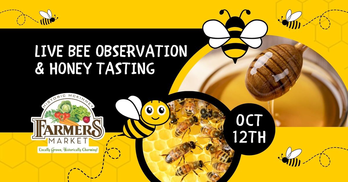 Live Bee Observation & Honey Tasting at the McKinney Farmers Market