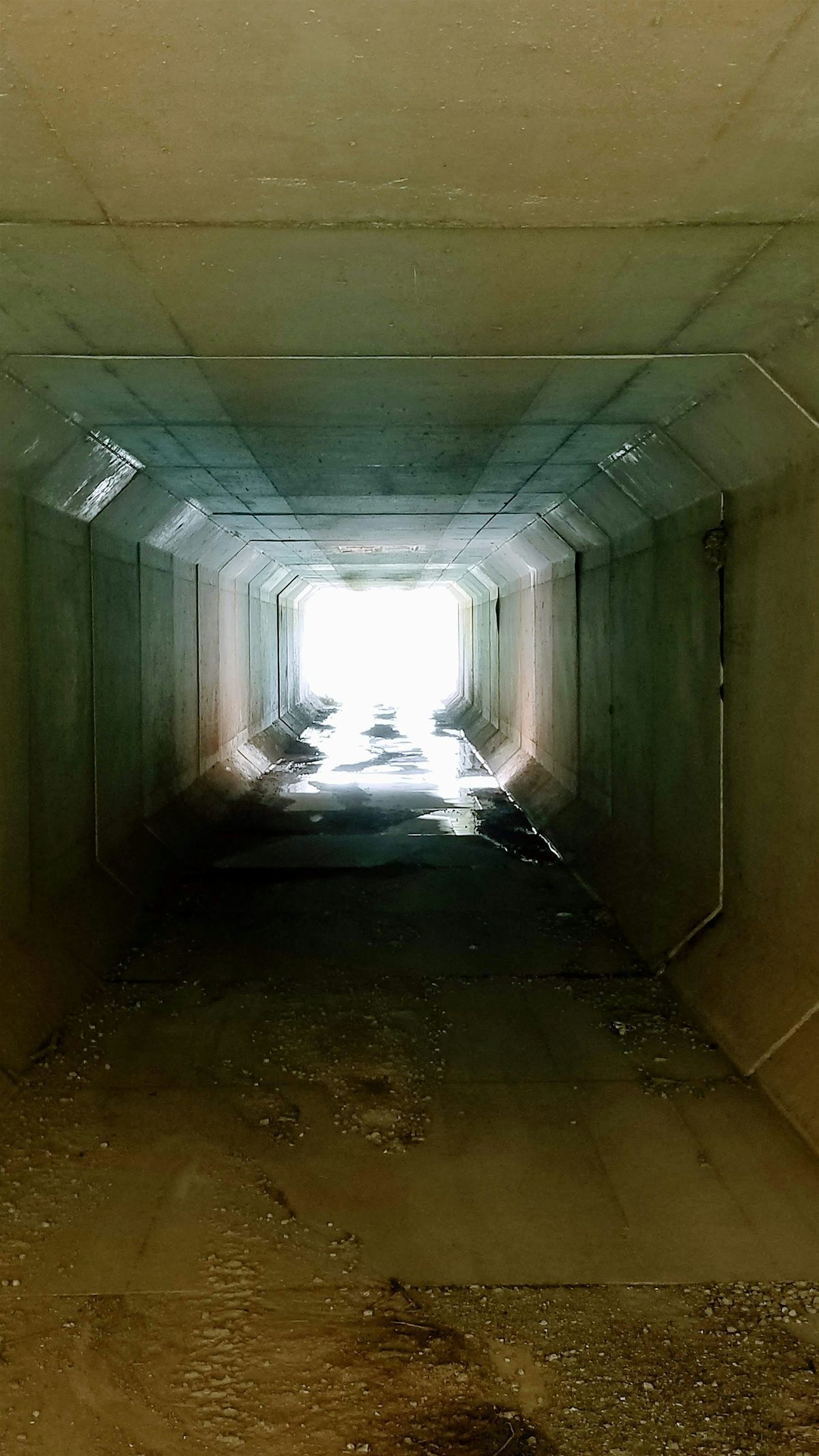 Fall into Spring on the BT:SCIOTO SUNDAY!: HIKE #2b (Pt10+-14)(5.0 miles)