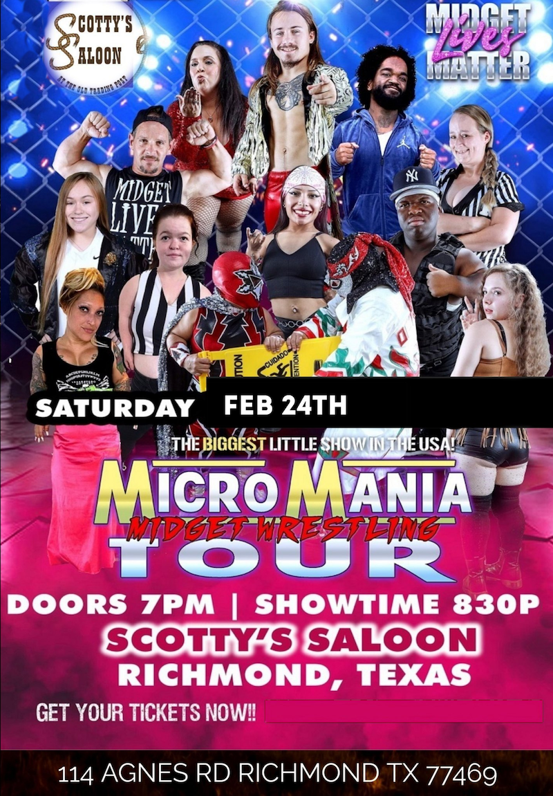 MicroMania Wrestling