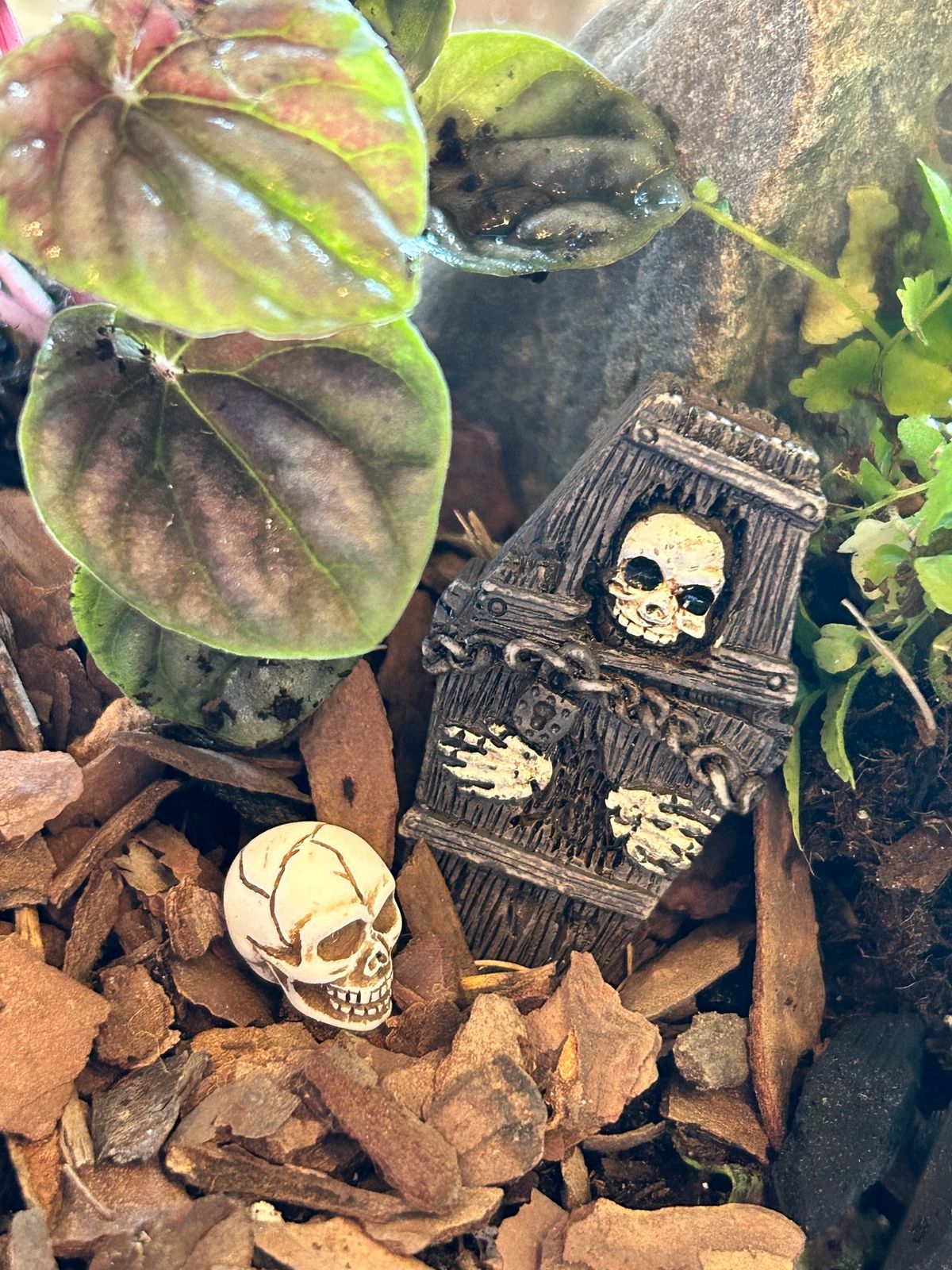 Halloween Scene Terrarium