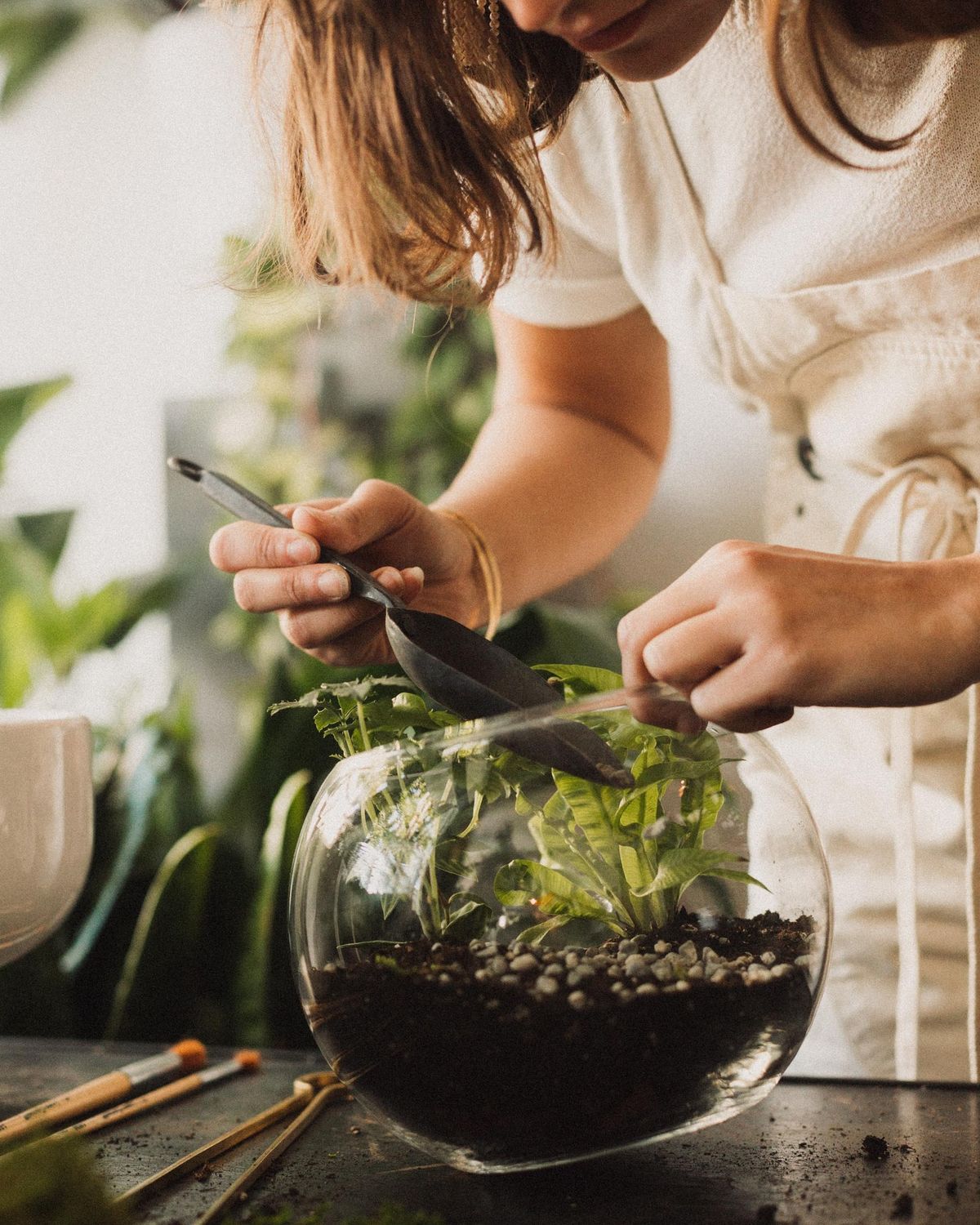 Creating Closed Terrariums