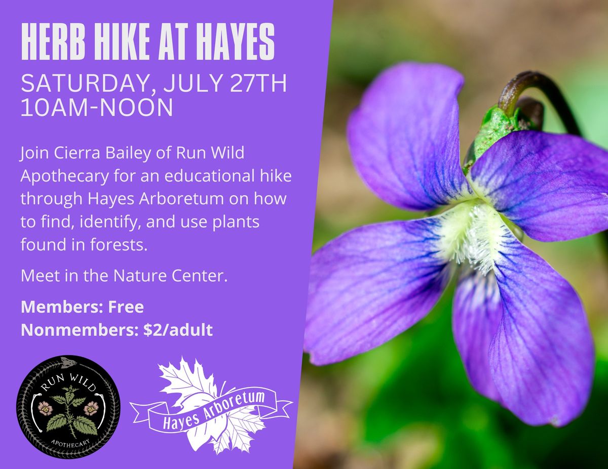 Herb Hike at Hayes Arb