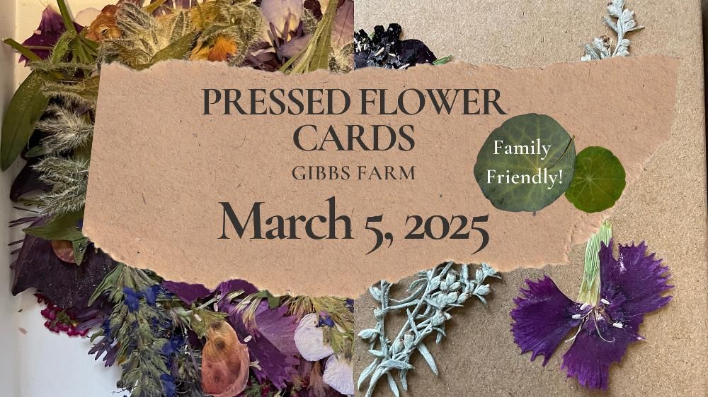 Pressed Flower Cards