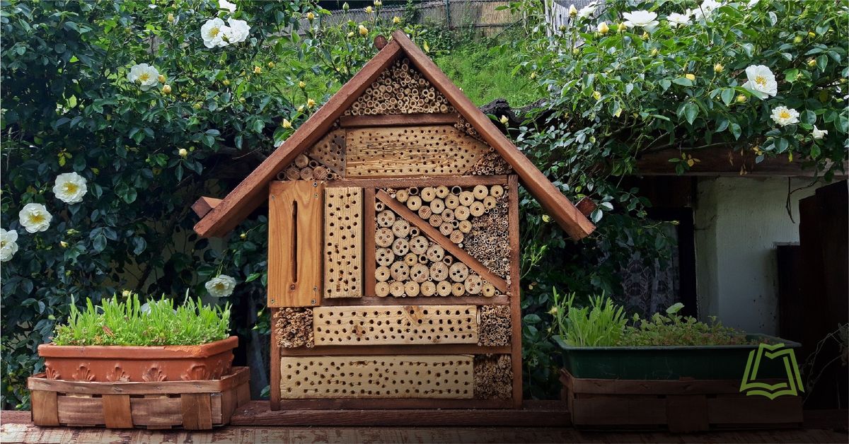 Master Gardener Series: Raising Mason Bees