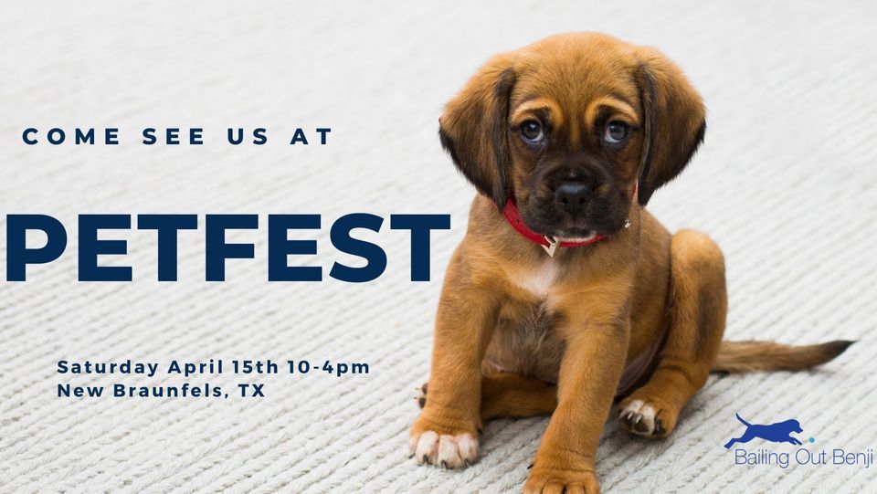 New Braunfels Pet Fest