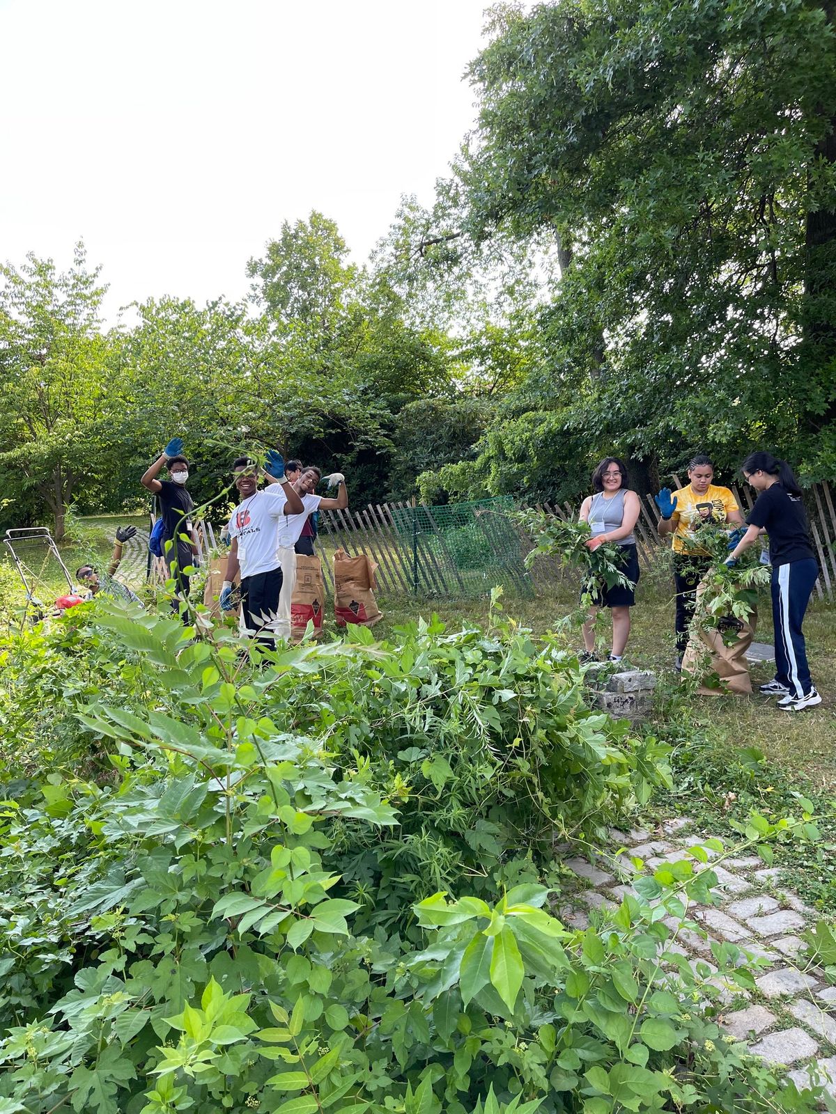 Environmental Stewardship Volunteer Day