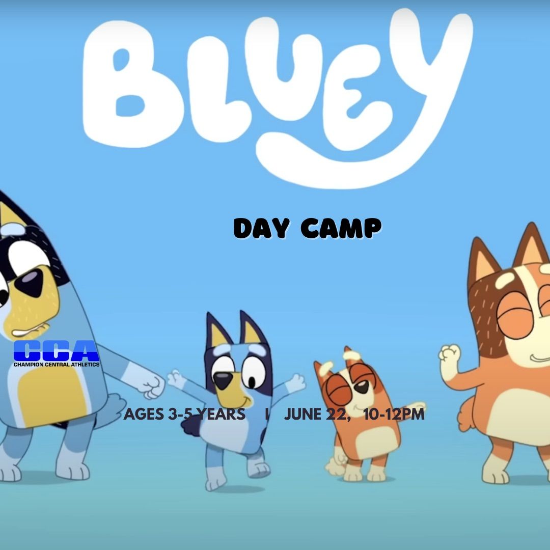 Bluey Day Camp