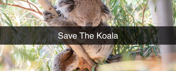 Save The Koala