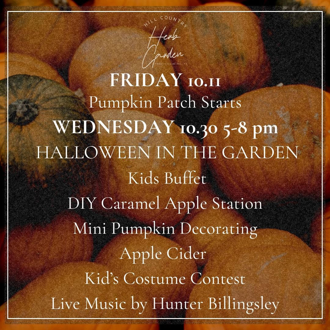 Halloween in the Garden