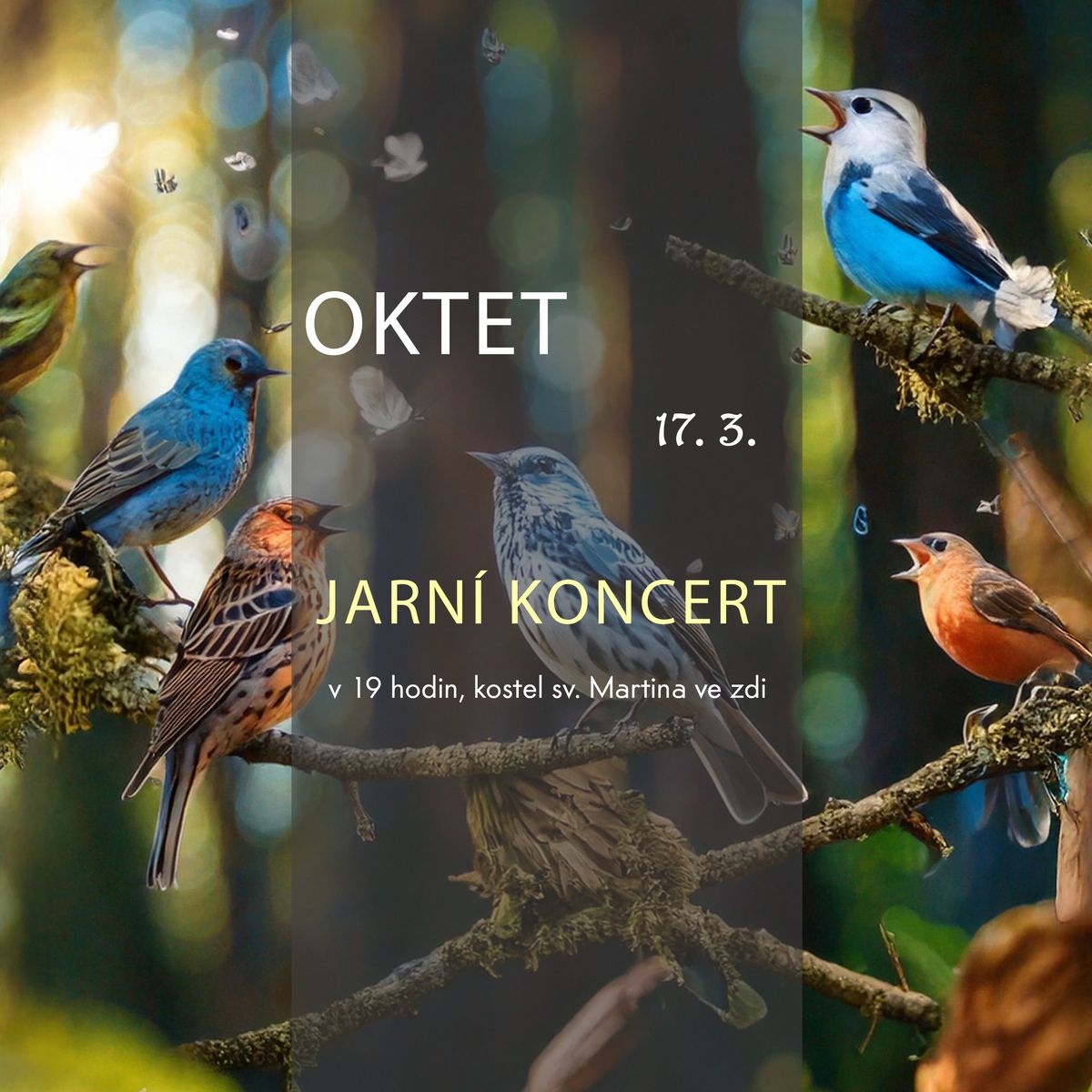 OKTET - Jarn\u00ed koncert