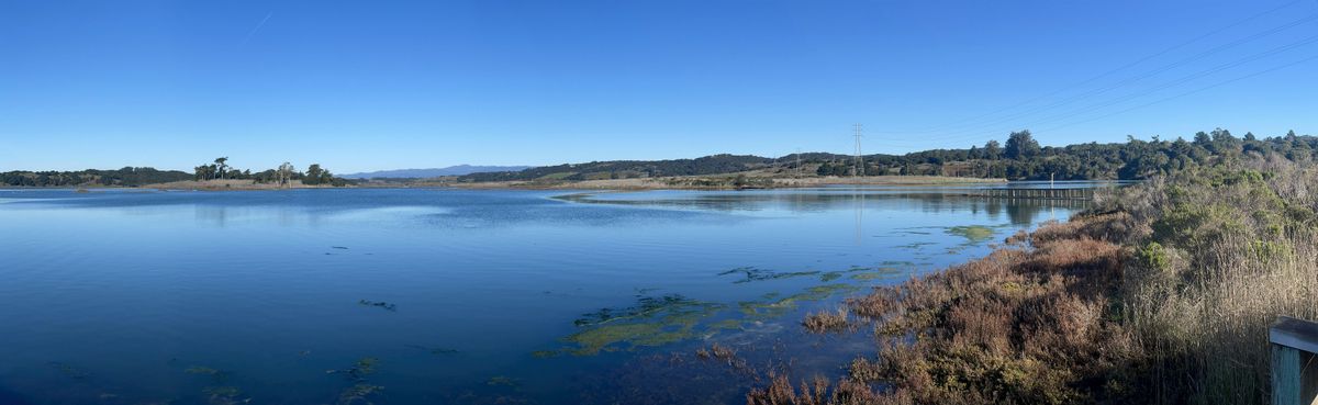 King Tides High Tide Hike at Elkhorn Slough Reserve