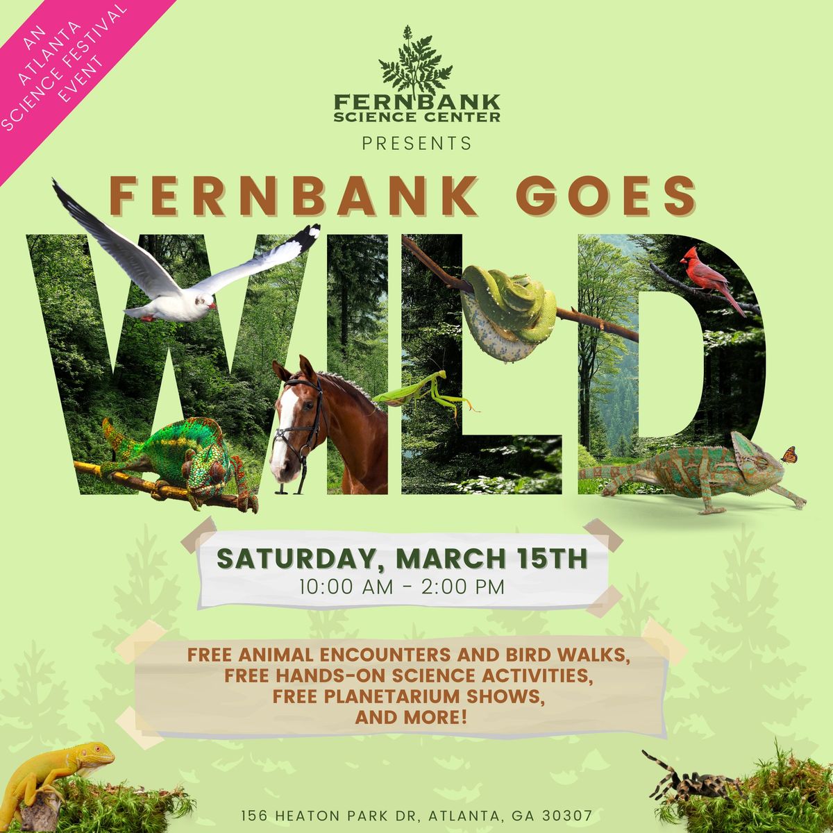 Fernbank Goes Wild with the Atlanta Science Festival