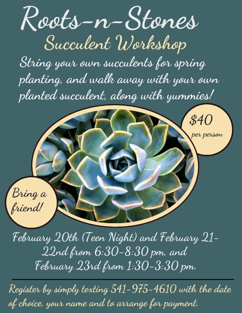 Succulent Workshop