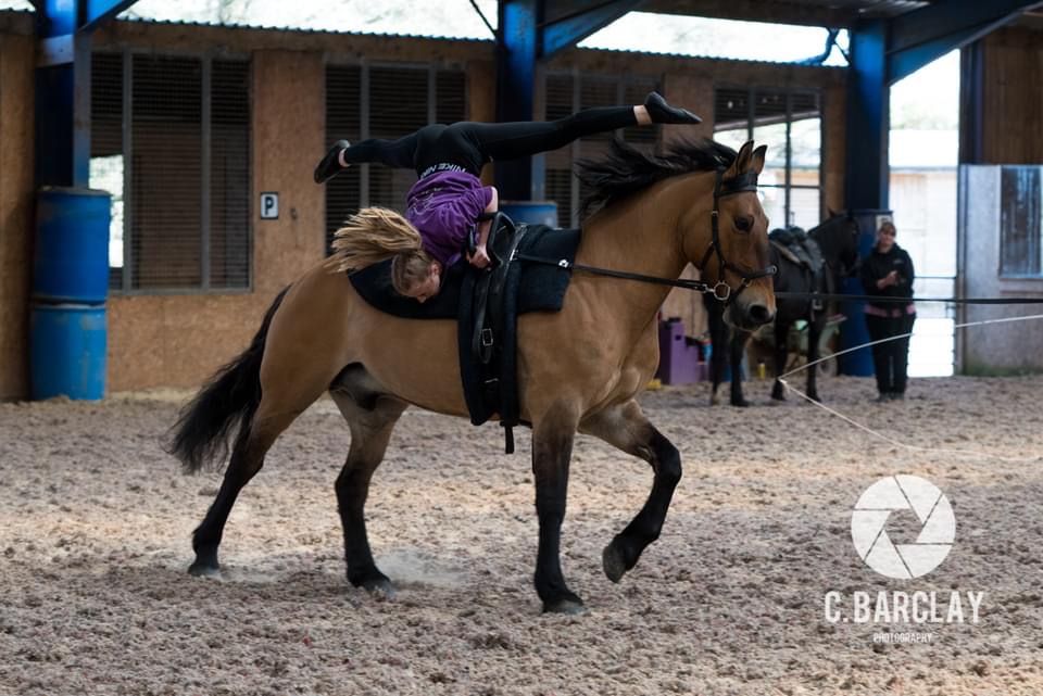 3 day Advanced Vaulting Camp 