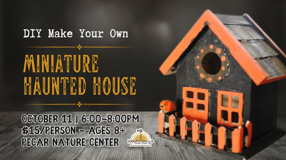 DIY - Make Your Own Mini Haunted House