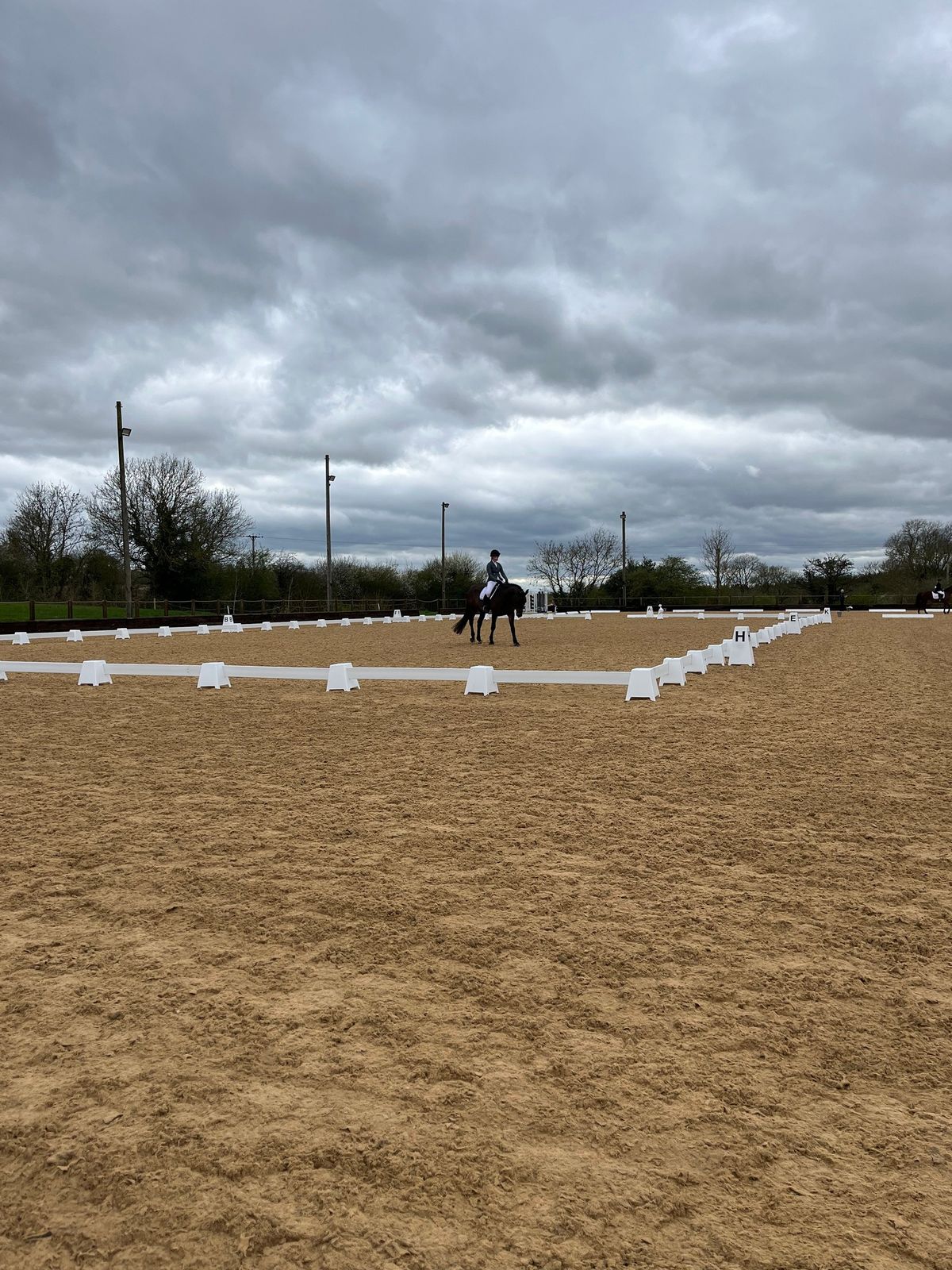 summer league dressage  