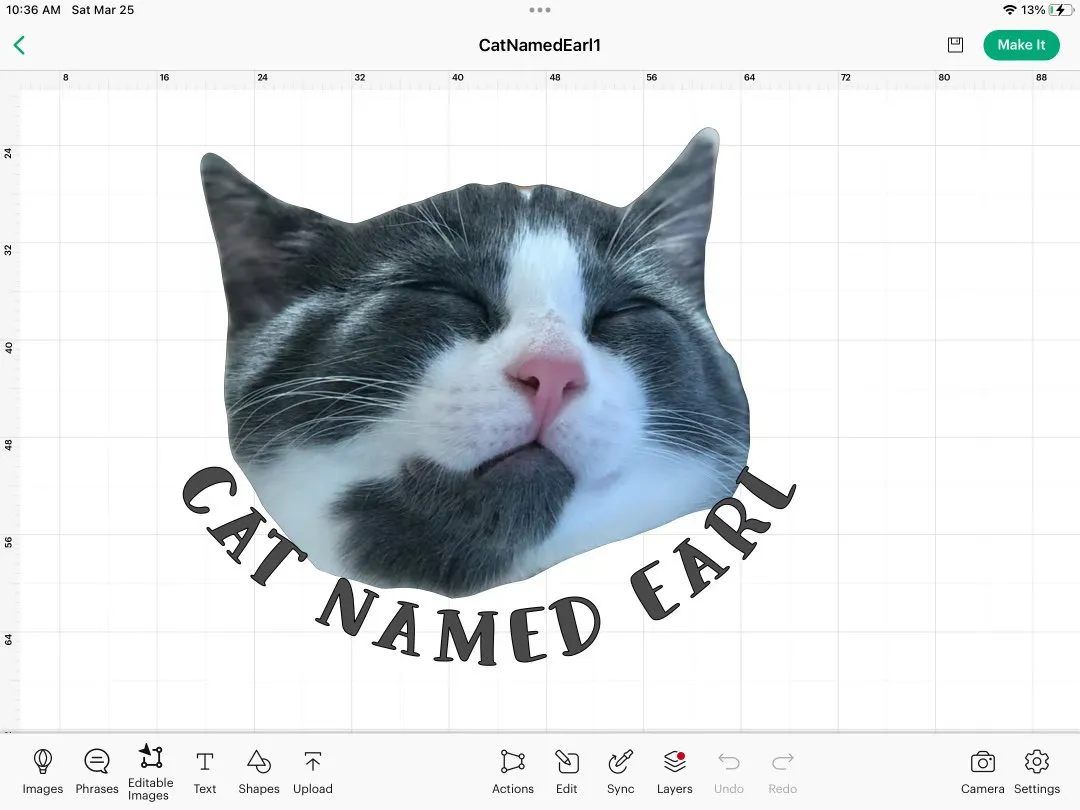 LIVE MUSIC: Cat Named Earl