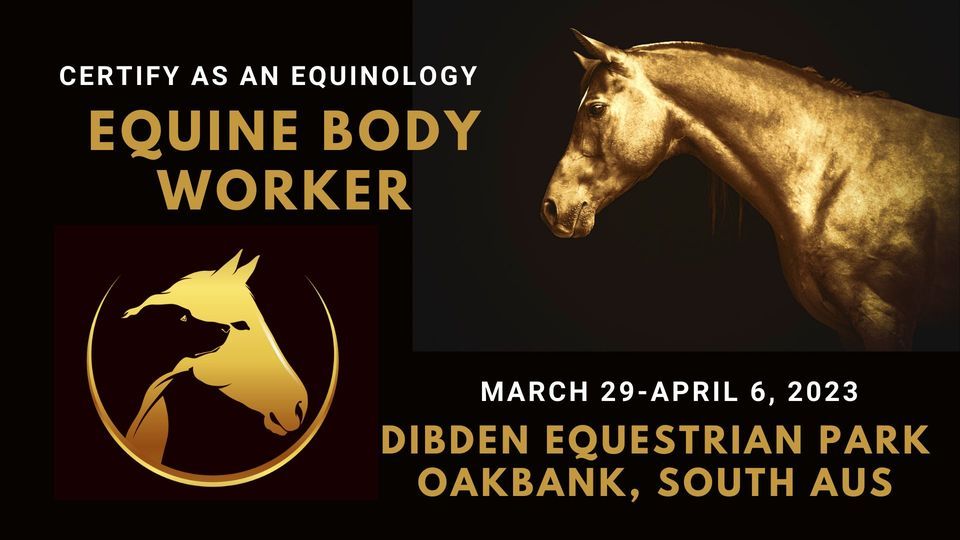 Equinology Equine Body Worker Certification