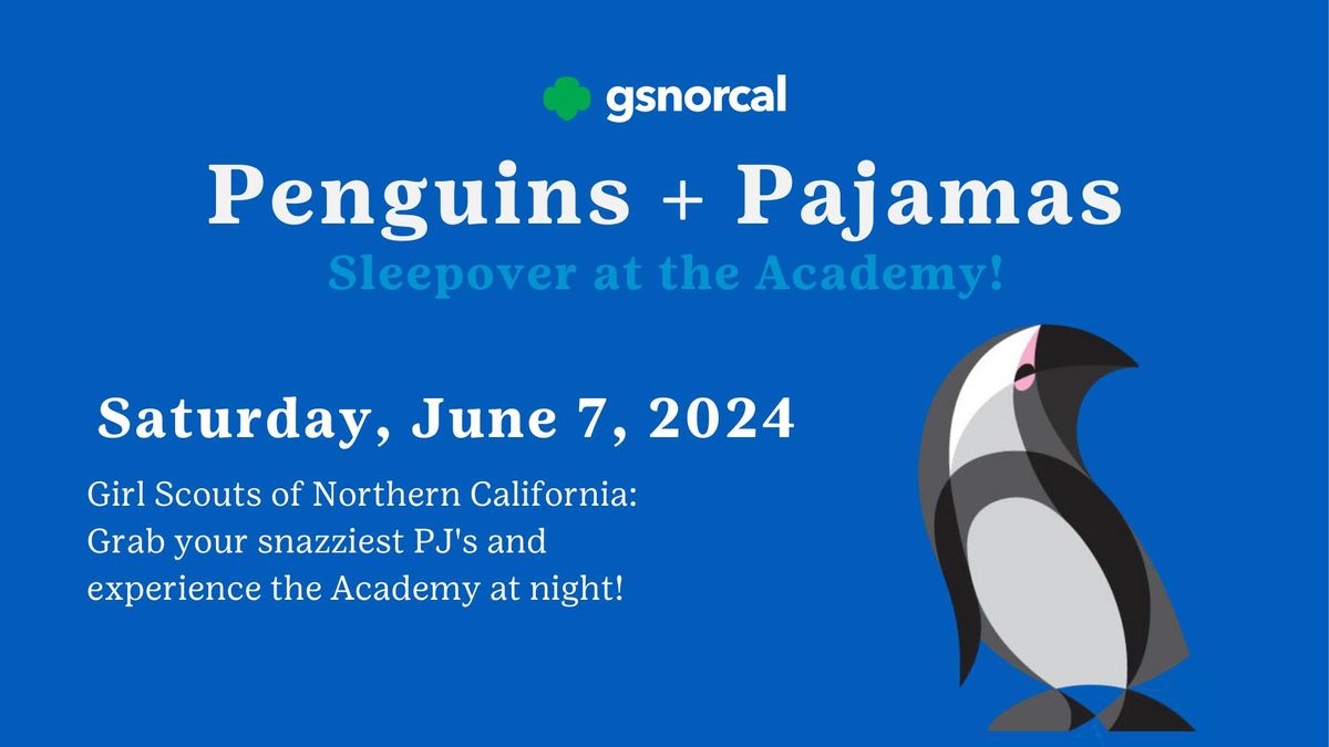 Penguins + Pajamas \ud83d\udc27 Sleepover at the Academy