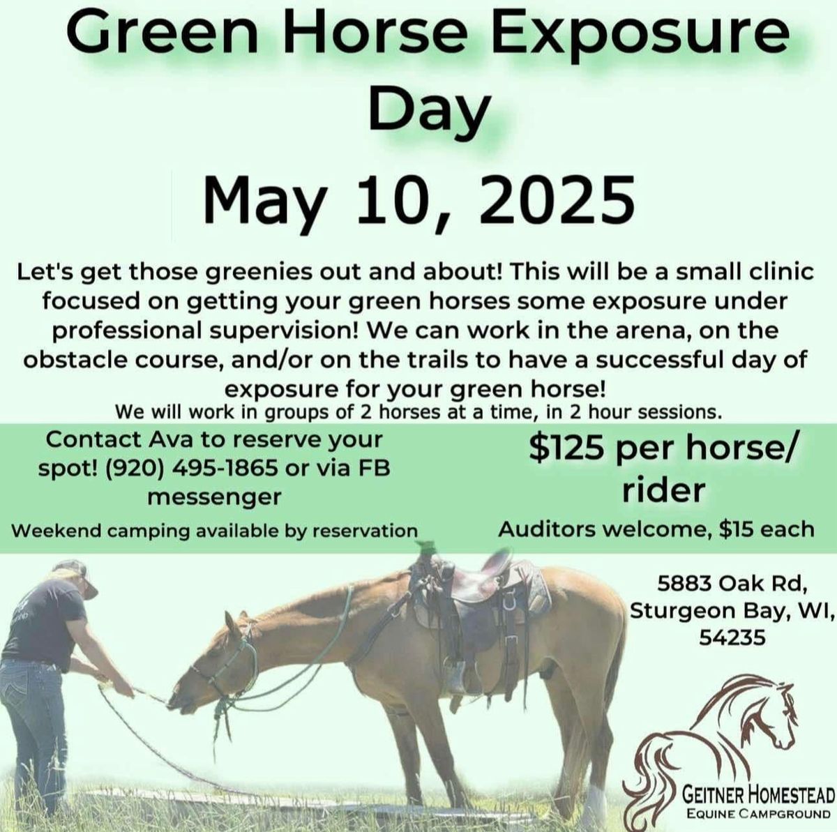 Green Horse Exposure Day