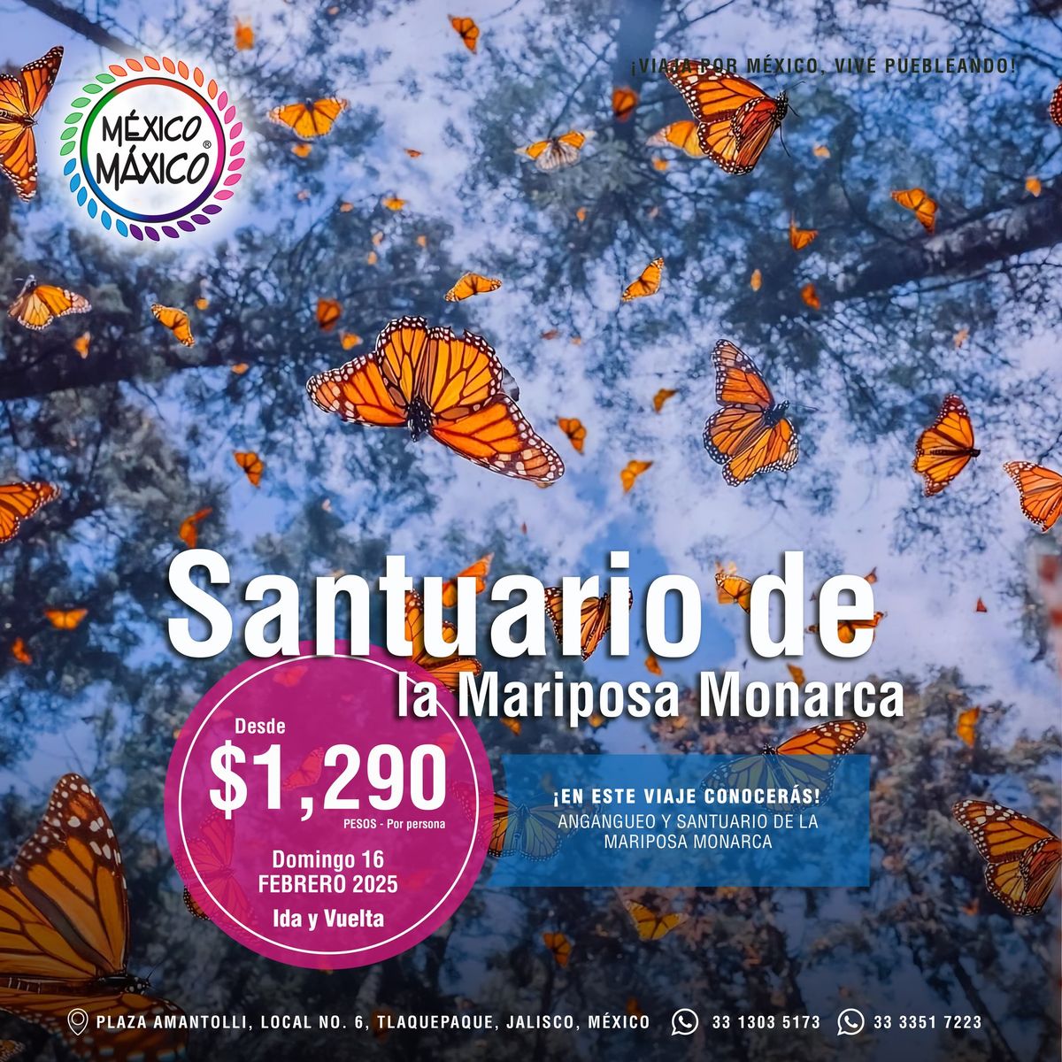 SANTUARIO DE LA MARIPOSA MONARCA