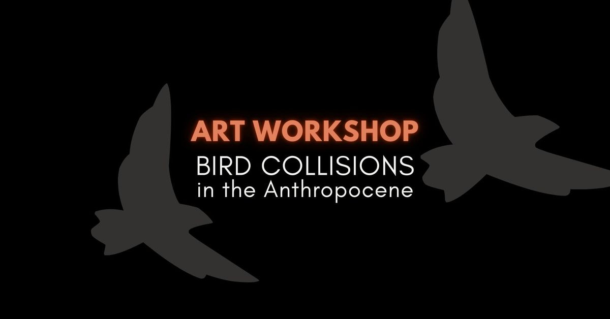 Art Workshop: Bird Collisions