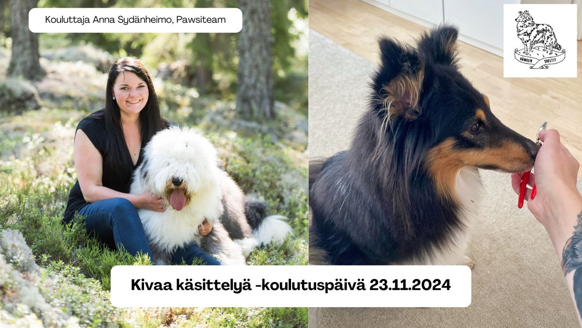 Kivaa k\u00e4sittely\u00e4 -koulutusp\u00e4iv\u00e4 Tampereella 23.11.2024