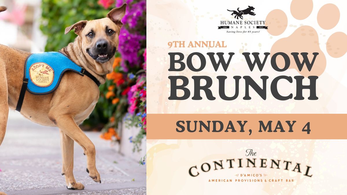 HSN Bow Wow Brunch