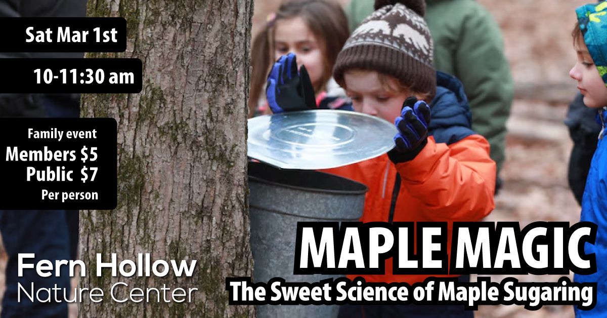 Maple Magic