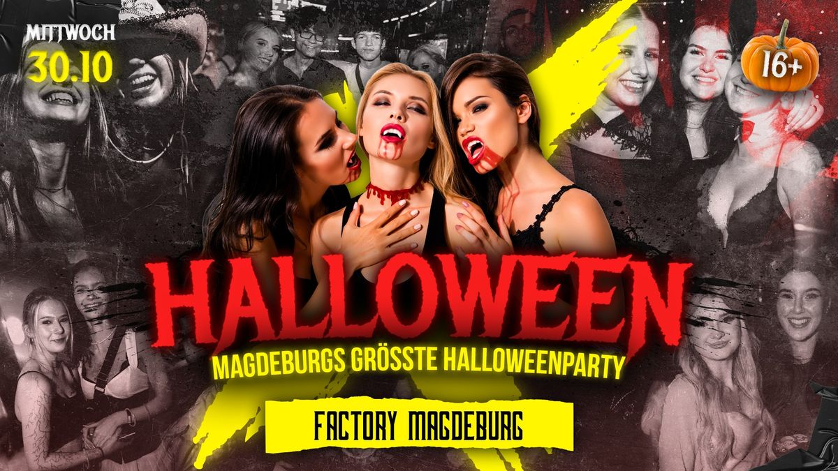 ? MAGDEBURGS GR\u00d6SSTE HALLOWEEN-PARTY ?