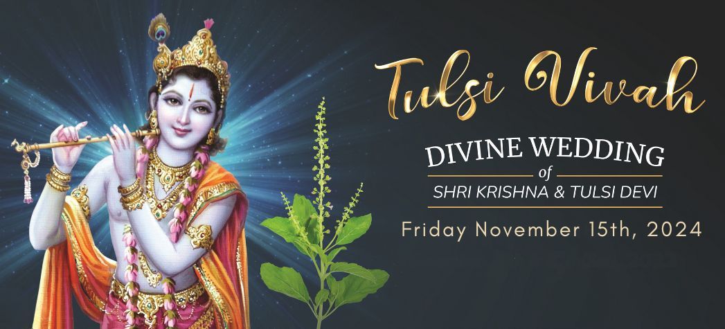 Tulsi Vivah (Divine Wedding) at Radha Krishna Temple of Dallas