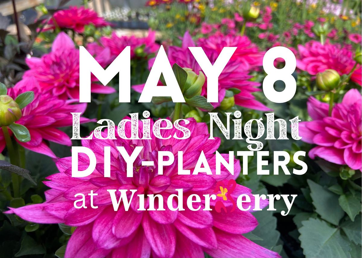 LADIES NIGHT-DIY  PLANTERS @ Winderberry