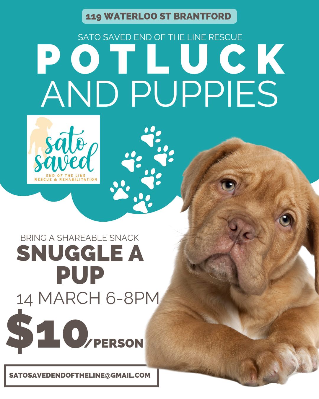 Potluck and Puppies