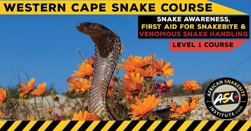 Snake Awareness First aid for Snakebite, Venomous Snake Handling