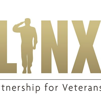 VETLINX