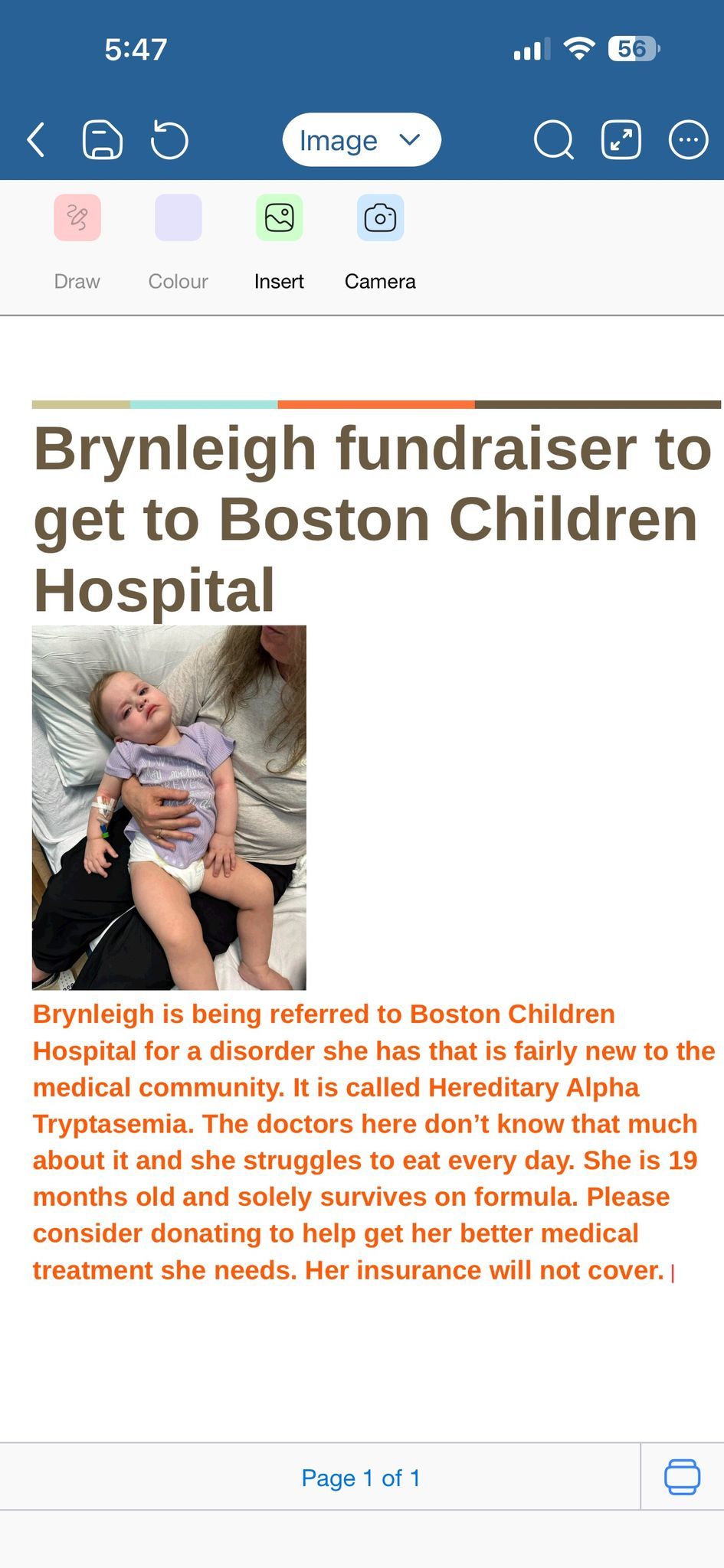 Brynleigh\u2019s Benefit 