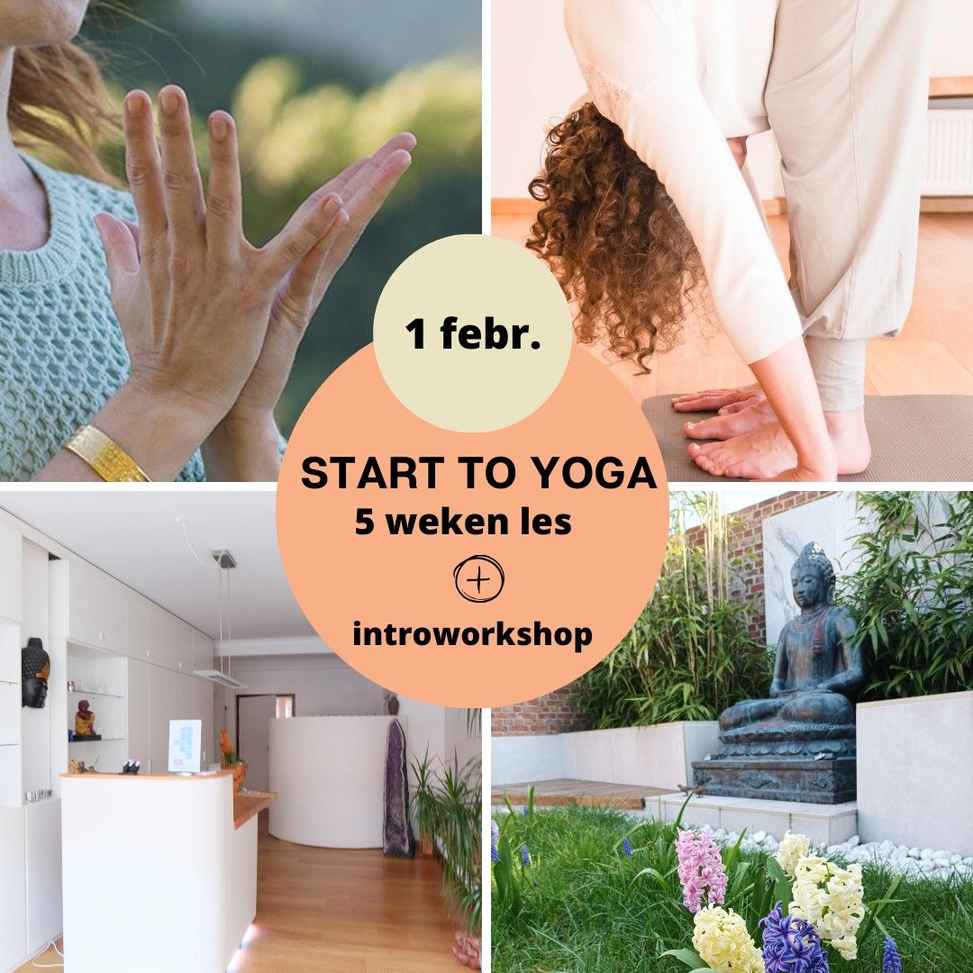 START TO YOGA: 5 weken les + introworkshop